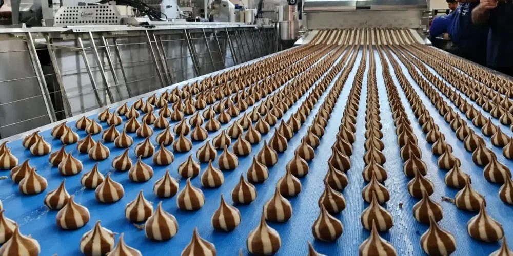 نگهداری و سرویس دستگاه های کلوچه زن صنعتی